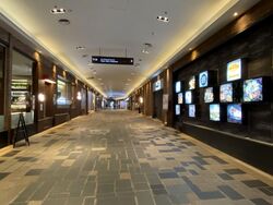 Icon Village (D2), Shop House #599086951